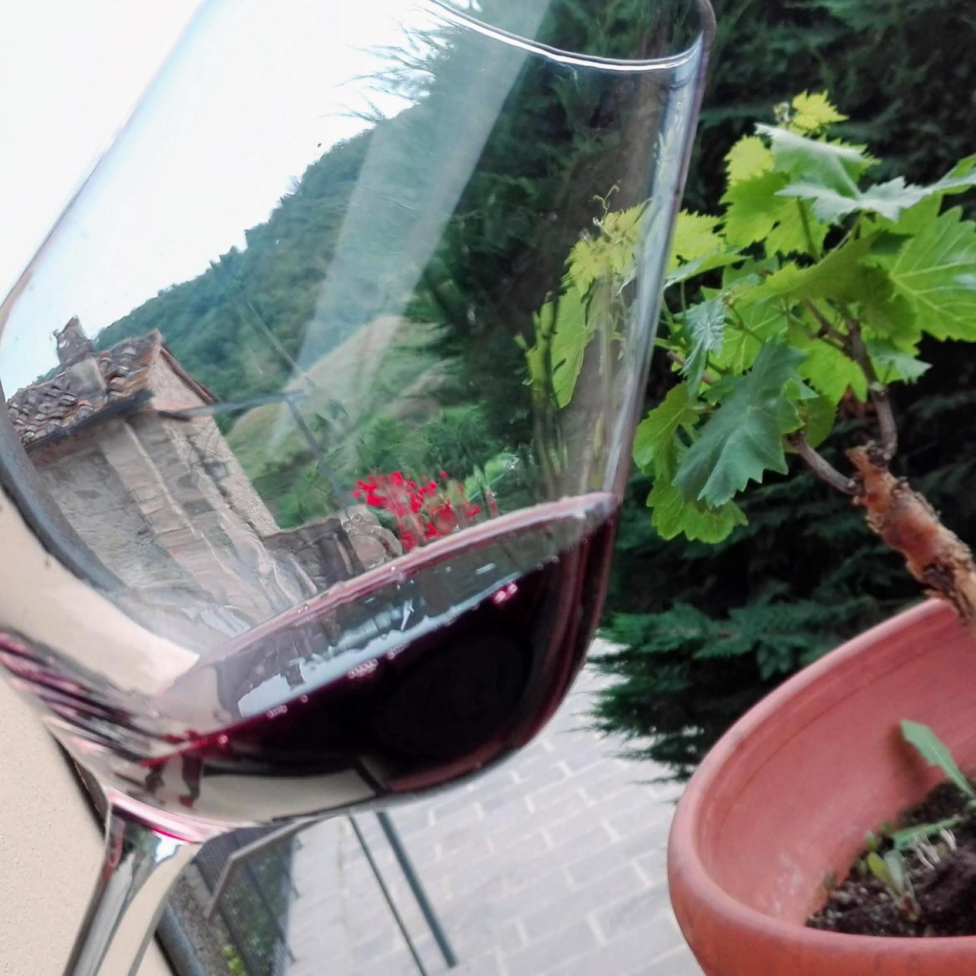 Villa Buonasera Agriturismo Greve in Chianti Exteriör bild