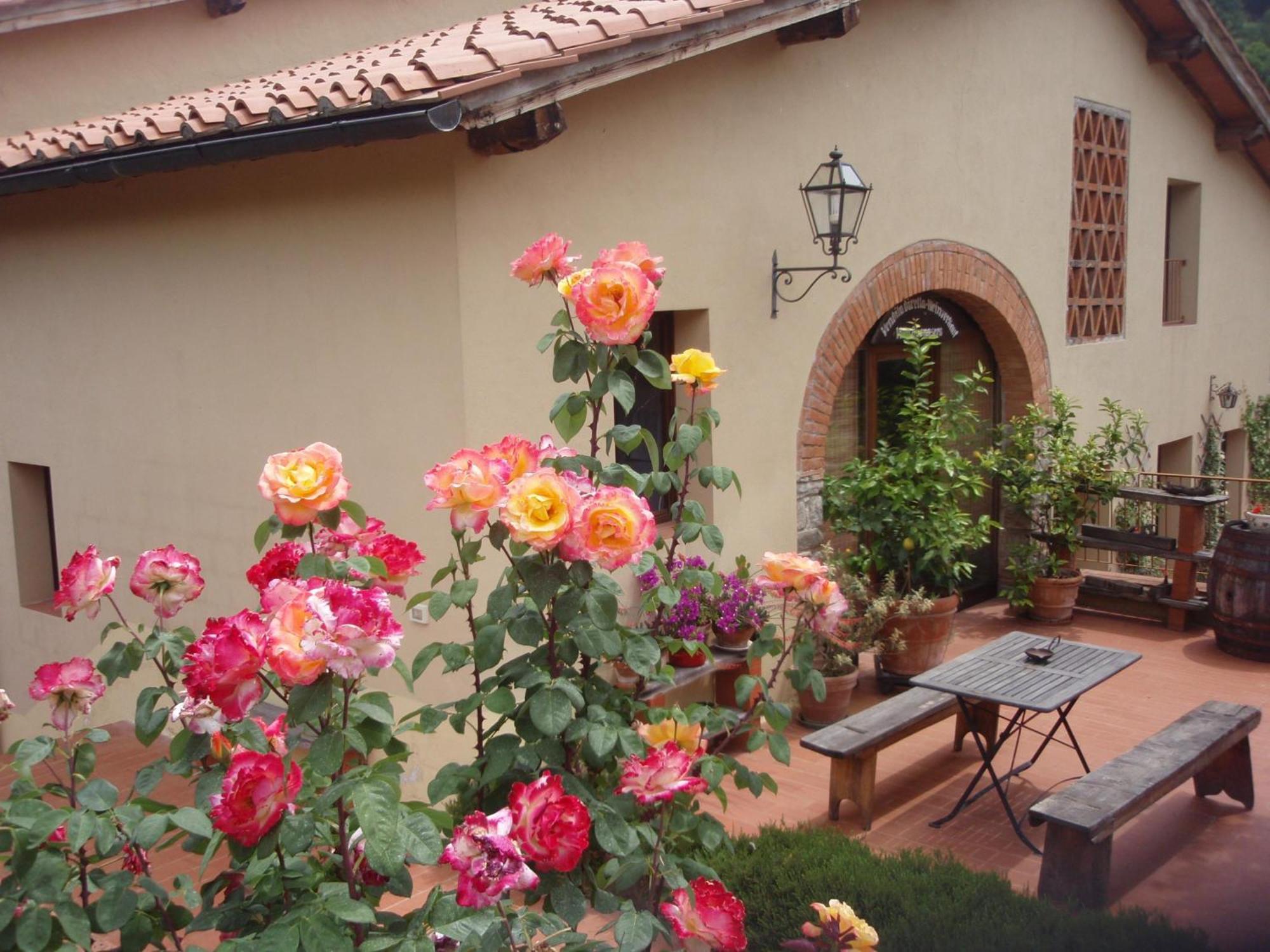 Villa Buonasera Agriturismo Greve in Chianti Exteriör bild