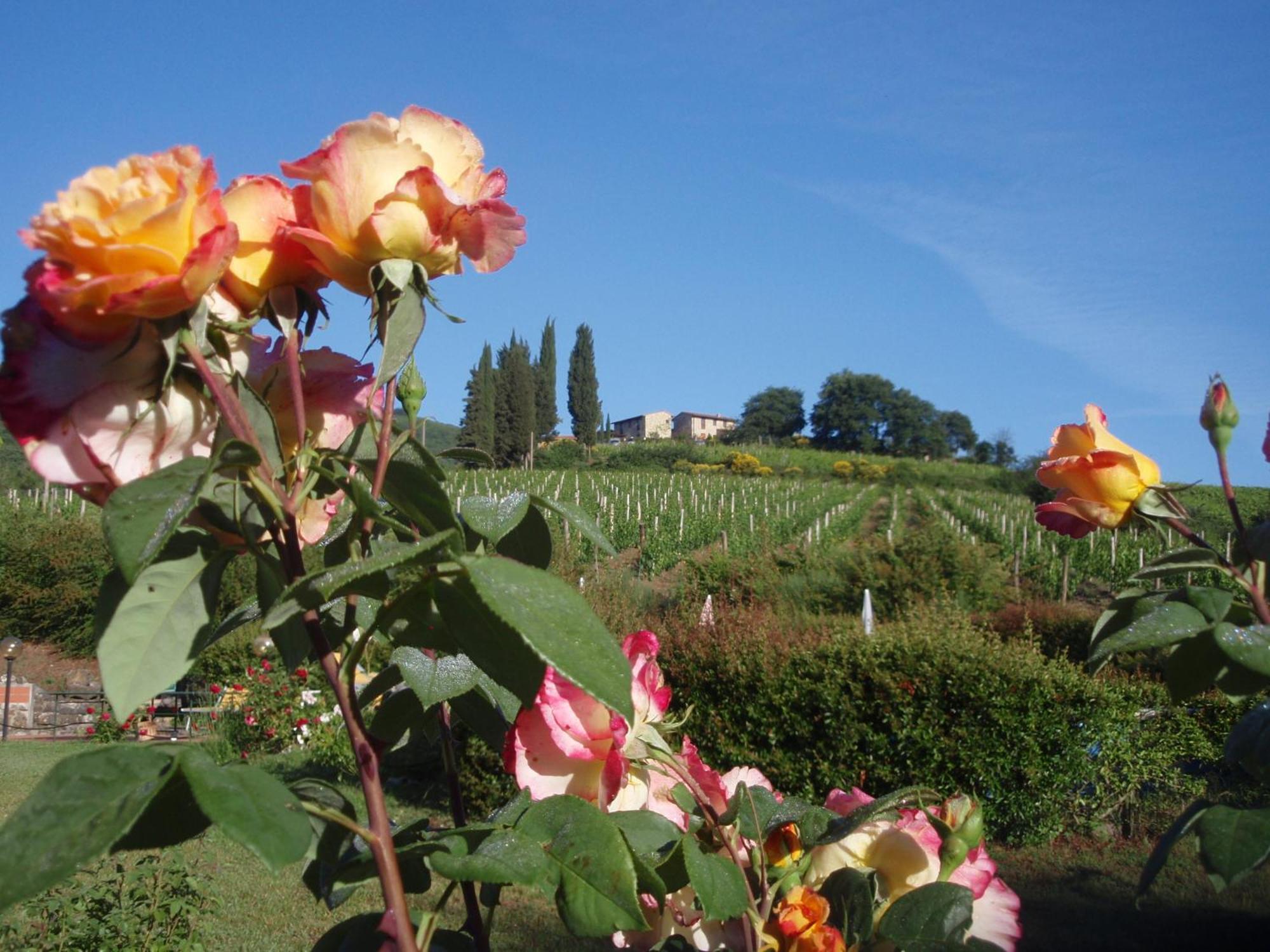 Villa Buonasera Agriturismo Greve in Chianti Exteriör bild