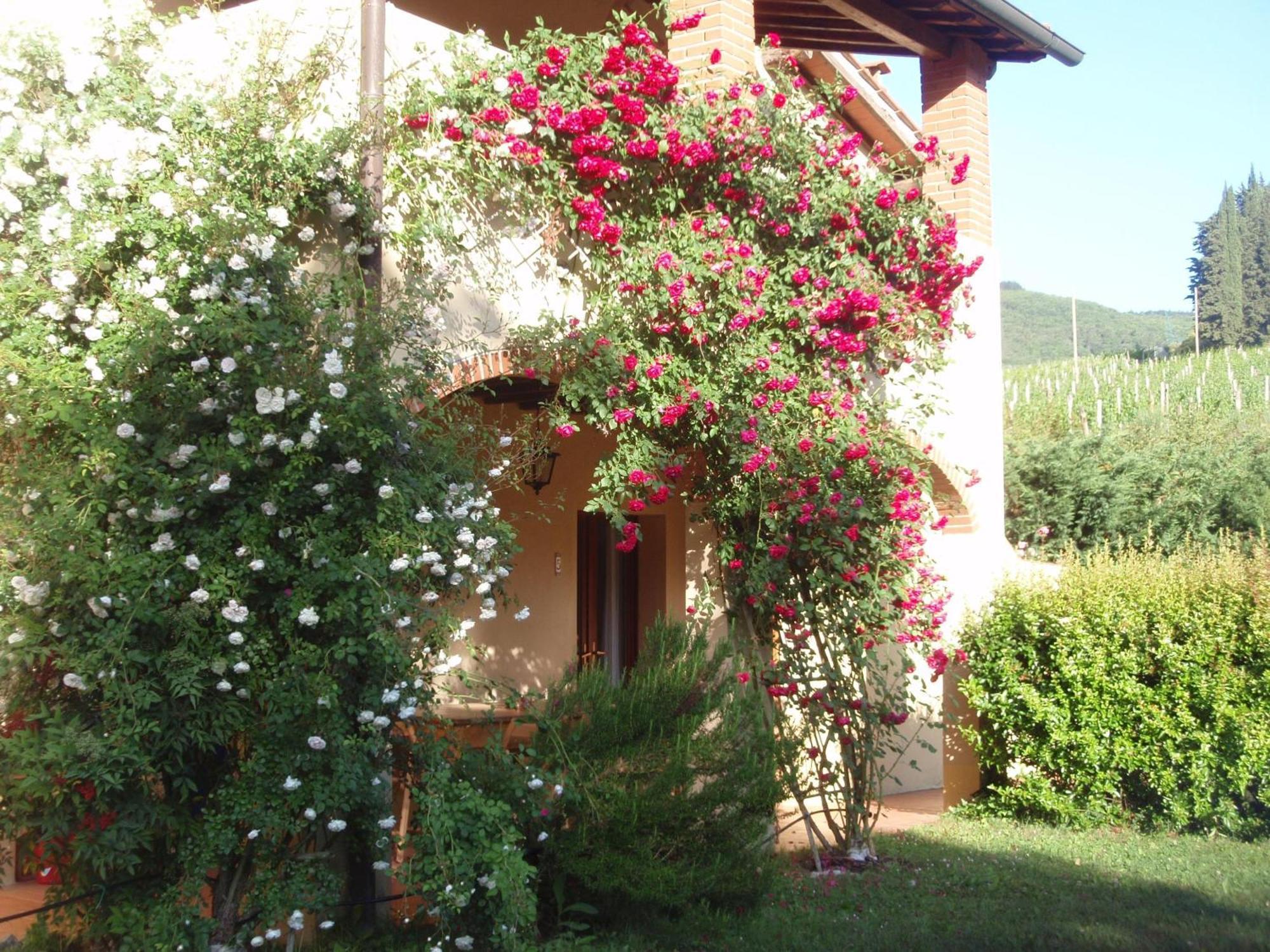 Villa Buonasera Agriturismo Greve in Chianti Exteriör bild