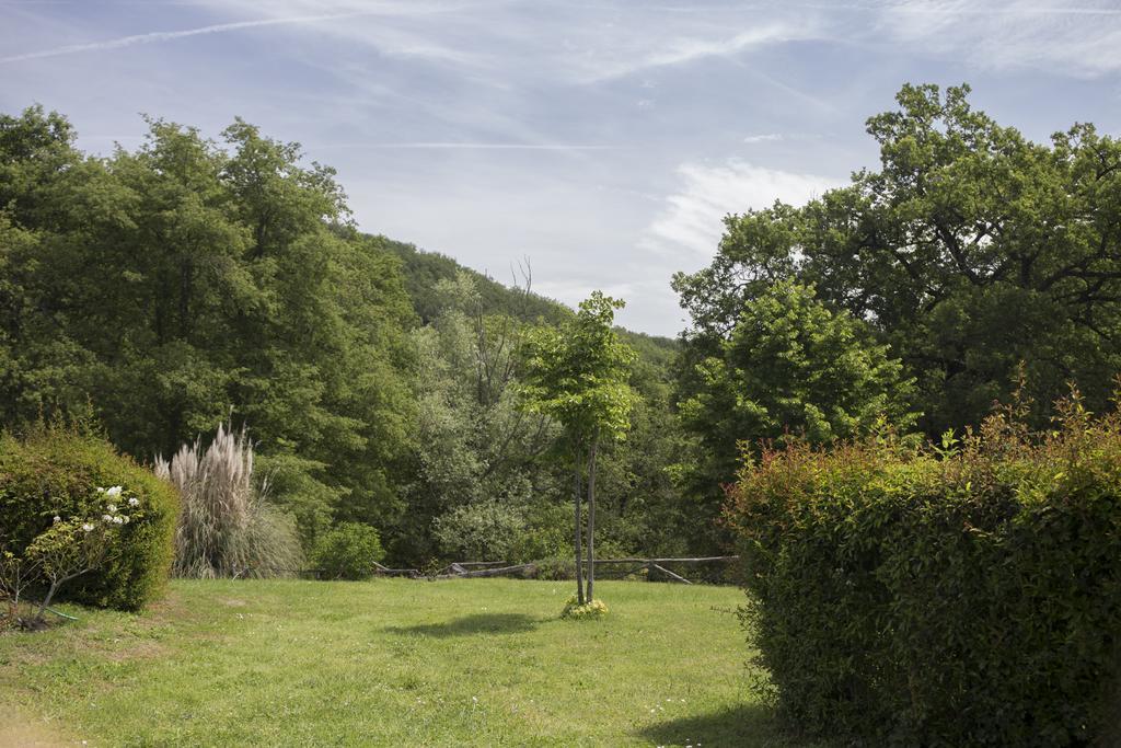 Villa Buonasera Agriturismo Greve in Chianti Exteriör bild